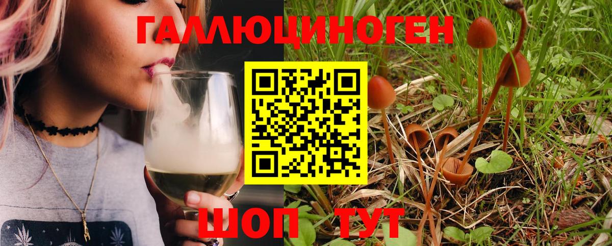 Галлюциногенные грибы MAGIC MUSHROOMS Петрозаводск