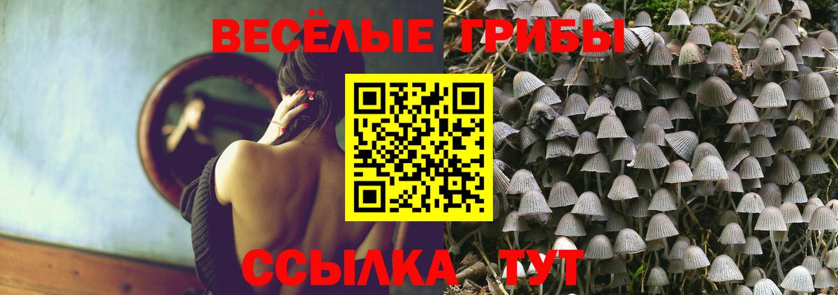 Петрозаводск  Галлюциногенные грибы GOLDEN TEACHER  Вход с VPN 